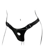 arnes hf 2