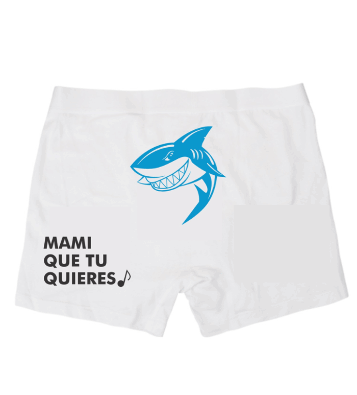 boxer tiburon